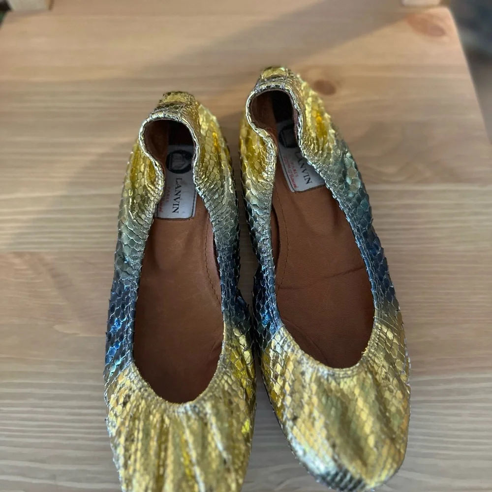 Lanvin Exotic Ballet Flats - Picture 4 of 10